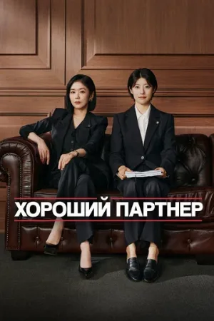 Хороший партнёр (сериал, 2024)