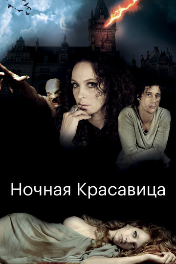 Ночная красавица (фильм, 2013)