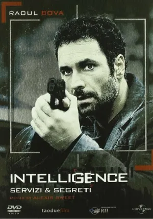 Агентура (сериал, 2009)
