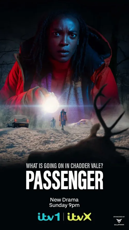 Пассажир (сериал, 2024) Пассажир (сериал, 2024)