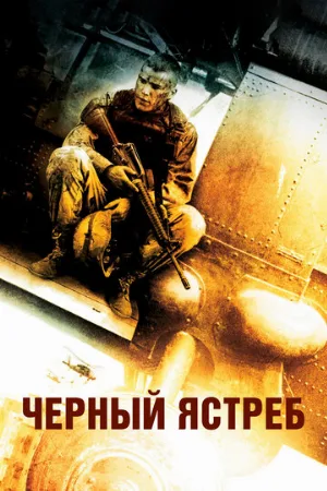 Чёрный ястреб (фильм, 2001)