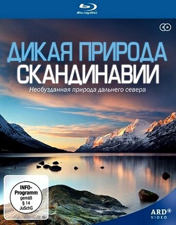 Постер тв-шоу Дикая природа Скандинавии 2011 года Постер тв-шоу Дикая природа Скандинавии 2011 года