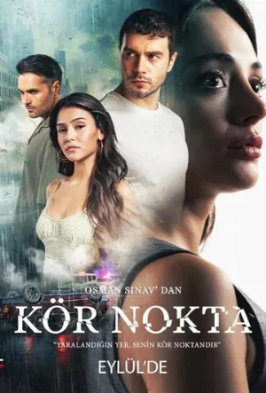 Слепое пятно (сериал, 2024)