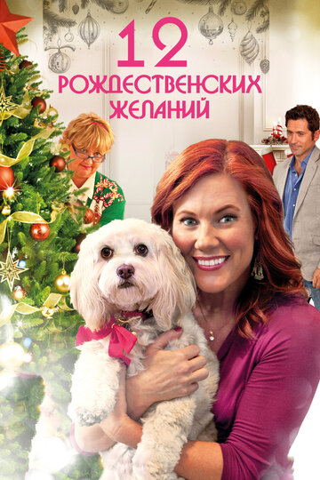 12 Рождественских желаний (фильм, 2011)