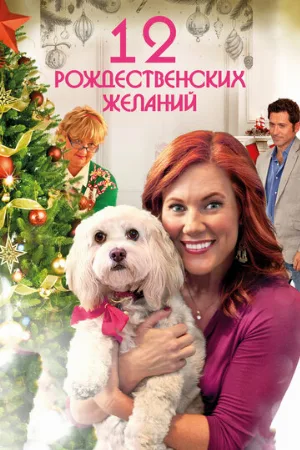 12 Рождественских желаний (фильм, 2011)
