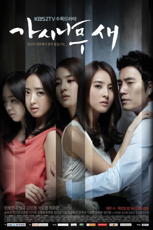 Поющие в терновнике (сериал, 2011)