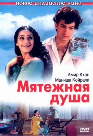 Мятежная душа (фильм, 1999)