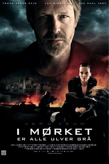 Варг Веум: Ночью все волки серы (фильм, 2011)