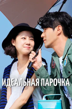 Идеальная парочка (сериал, 2011)