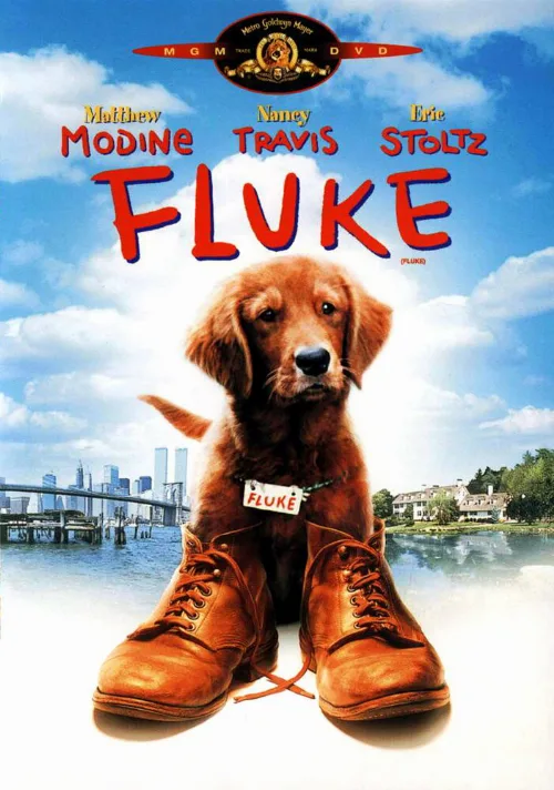 Флюк (фильм, 1995) Флюк (фильм, 1995)