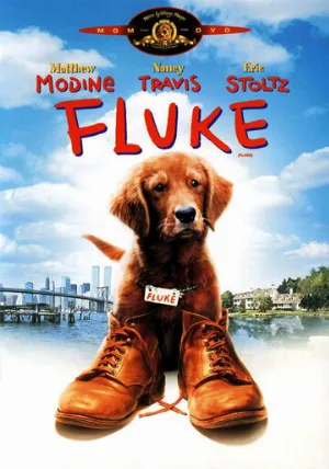 Флюк (фильм, 1995) Флюк (фильм, 1995)