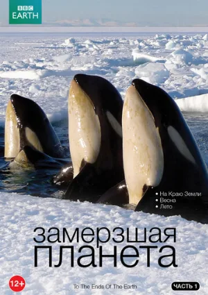 BBC: Замерзшая планета (тв-шоу, 2011) BBC: Замерзшая планета (тв-шоу, 2011)