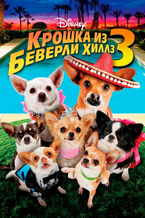 Крошка из Беверли-Хиллз 3 (фильм, 2012) Крошка из Беверли-Хиллз 3 (фильм, 2012)