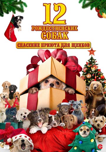 12 рождественских собак: Спасение приюта для щенков (фильм, 2012)