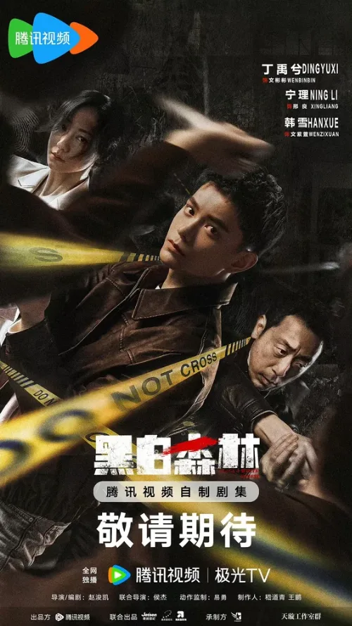 Чёрно-белый лес (сериал, 2024) Чёрно-белый лес (сериал, 2024)