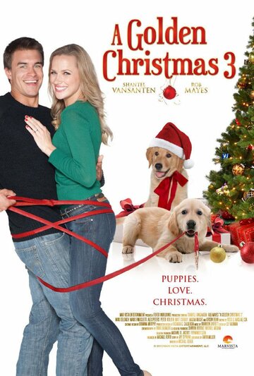 Золотое Рождество 3 (фильм, 2012) Золотое Рождество 3 (фильм, 2012)