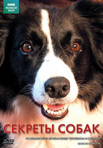 BBC: Секреты собак (фильм, 2010) BBC: Секреты собак (фильм, 2010)