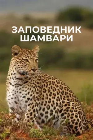 Заповедник Шамвари (сериал, 2018) Заповедник Шамвари (сериал, 2018)