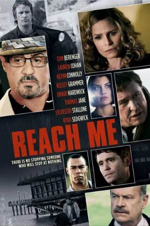 Достань меня, если сможешь (фильм, 2014)
