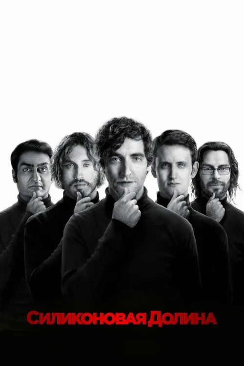 Силиконовая долина (сериал, 2014) Силиконовая долина (сериал, 2014)