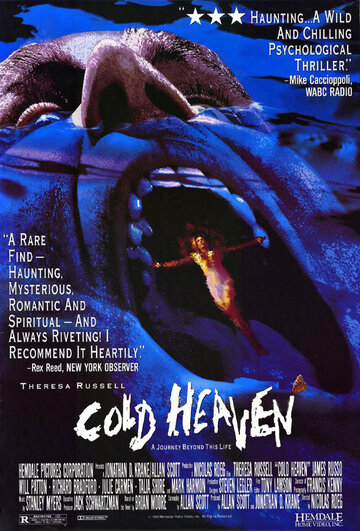 Холодные небеса (фильм, 1990) Холодные небеса (фильм, 1990)