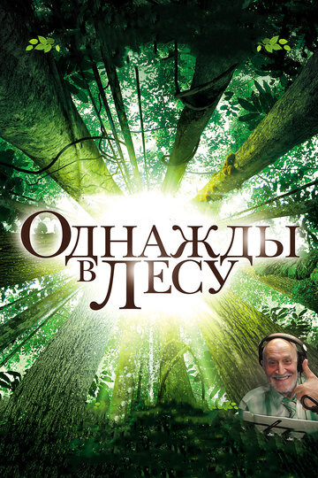 Однажды в лесу (фильм, 2013) Однажды в лесу (фильм, 2013)