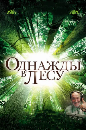 Однажды в лесу (фильм, 2013)