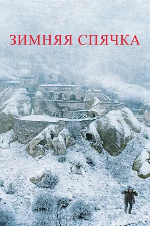 Зимняя спячка (фильм, 2014)