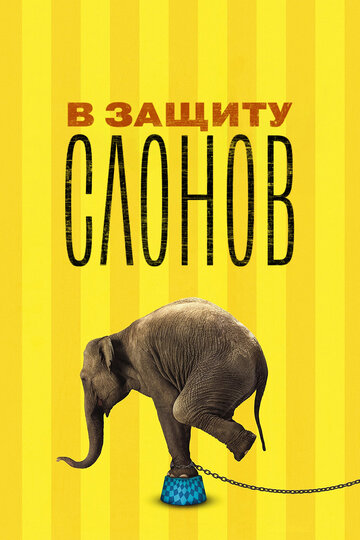 В защиту слонов (фильм, 2013)