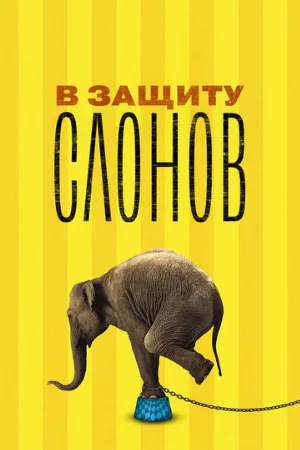 В защиту слонов (фильм, 2013)