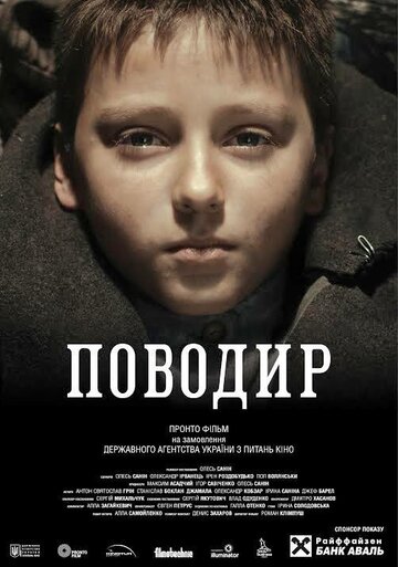 Поводырь (фильм, 2013)