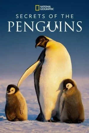 Секреты пингвинов (сериал, 2025)