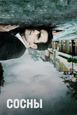 Сосны (сериал, 2015)