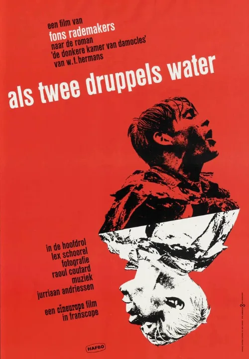 Как две капли воды (фильм, 1963)