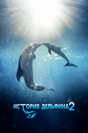 История дельфина 2 (фильм, 2014)