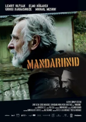 Мандарины (фильм, 2013)