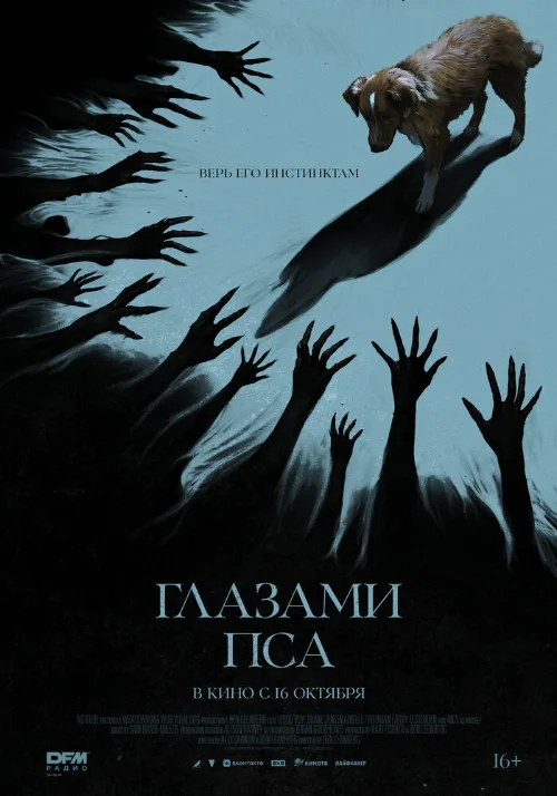 Глазами пса (фильм, 2025) Глазами пса (фильм, 2025)