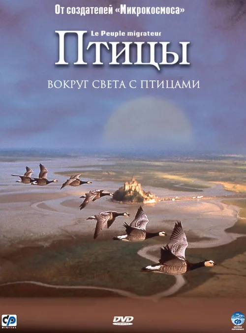 Птицы (фильм, 2001)