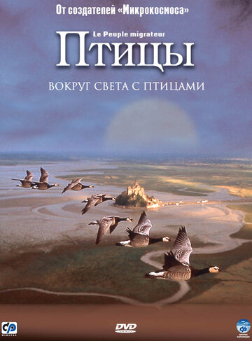 Фильм Птицы (2001) смотреть онлайн