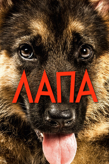 Лапа (фильм, 2015)