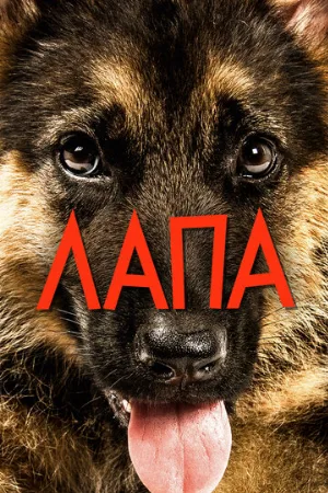 Лапа (фильм, 2015)