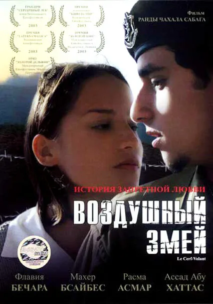 Воздушный змей (фильм, 2003) Воздушный змей (фильм, 2003)