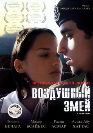 Воздушный змей (фильм, 2003)