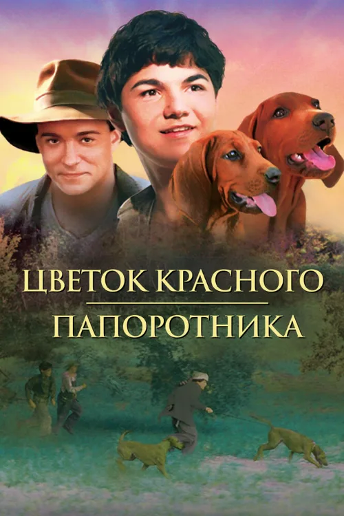 Цветок красного папоротника (фильм, 2003)