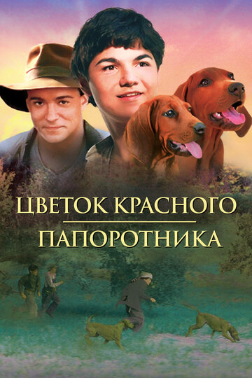 Цветок красного папоротника (фильм, 2003)