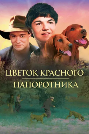 Цветок красного папоротника (фильм, 2003)