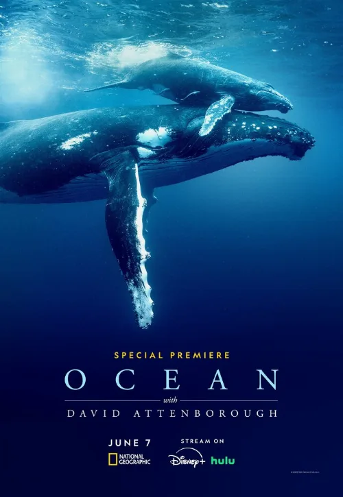 Дэвид Аттенборо: Океан (фильм, 2025)