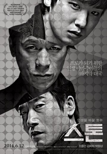 Постер фильма Камень 2013 года Постер фильма Камень 2013 года