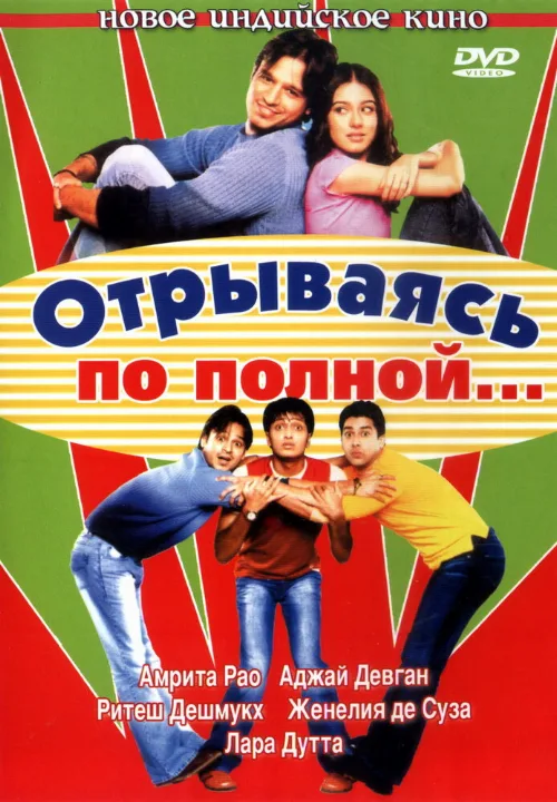 Отрываясь по полной... (фильм, 2004)