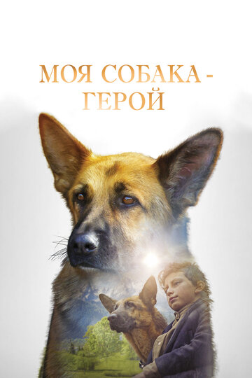 Моя собака — герой (фильм, 2019) Моя собака — герой (фильм, 2019)